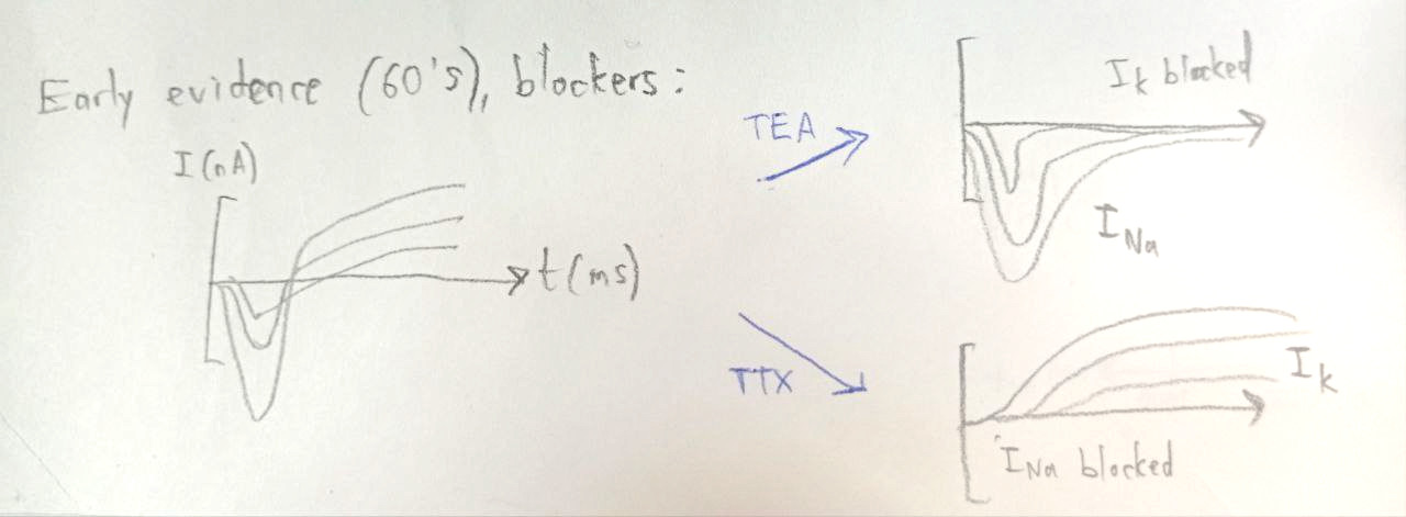 (Image "Figure ")