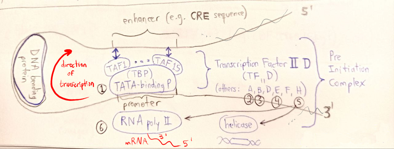 (Image "Figure ")