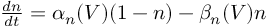 (TeX formula:  \frac{dn}{dt} = α_n(V)(1-n) - β_n(V)n )