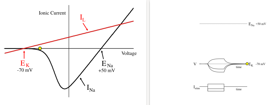 (Image "Figure ")