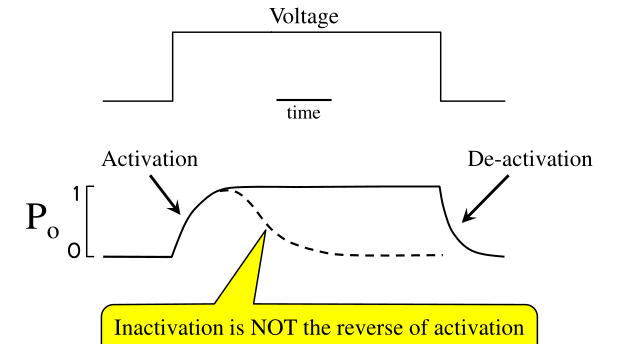 (Image "Figure ")