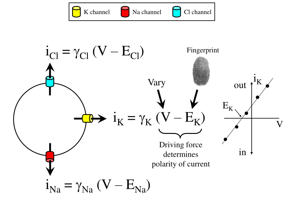 (Image "Figure ")