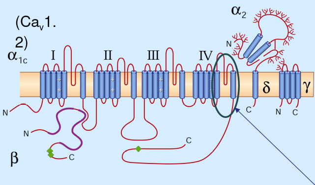 (Image "Figure ")