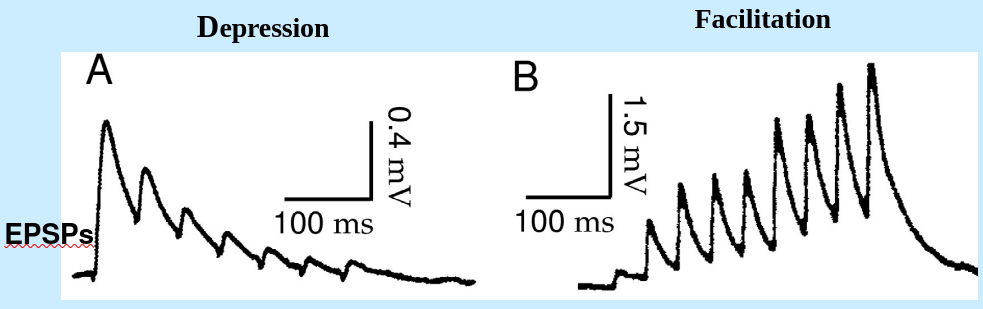 (Image "Figure ")