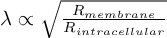(TeX formula:  λ ∝ \sqrt{\frac{R_{membrane}}{R_{intracellular}}} )