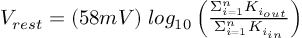 (TeX formula:  V_{rest} = (58 mV) \; log_{10} \left( \frac{Σ_{i=1}^n K_{i_{out}}} {Σ_{i=1}^n K_{i_{in}}} \right) )