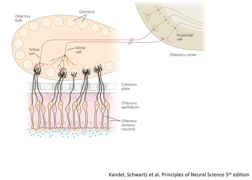 (Image "Figure ")