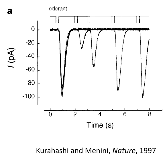 (Image "Figure ")