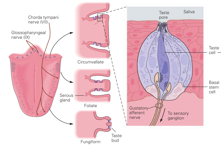 (Image "Figure ")