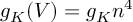 (TeX formula:  g_K(V) = g_K n^4 )