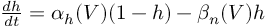 (TeX formula:  \frac{dh}{dt} = α_h(V)(1-h) - β_n(V)h )