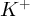 (TeX formula: K^+)