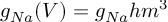 (TeX formula:  g_{Na}(V) = g_{Na} hm^3 )