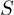 (TeX formula: S)